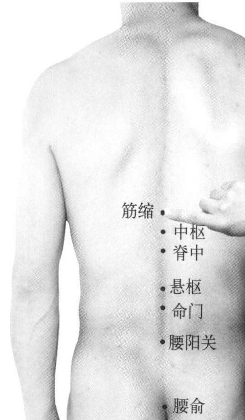 341.筋縮